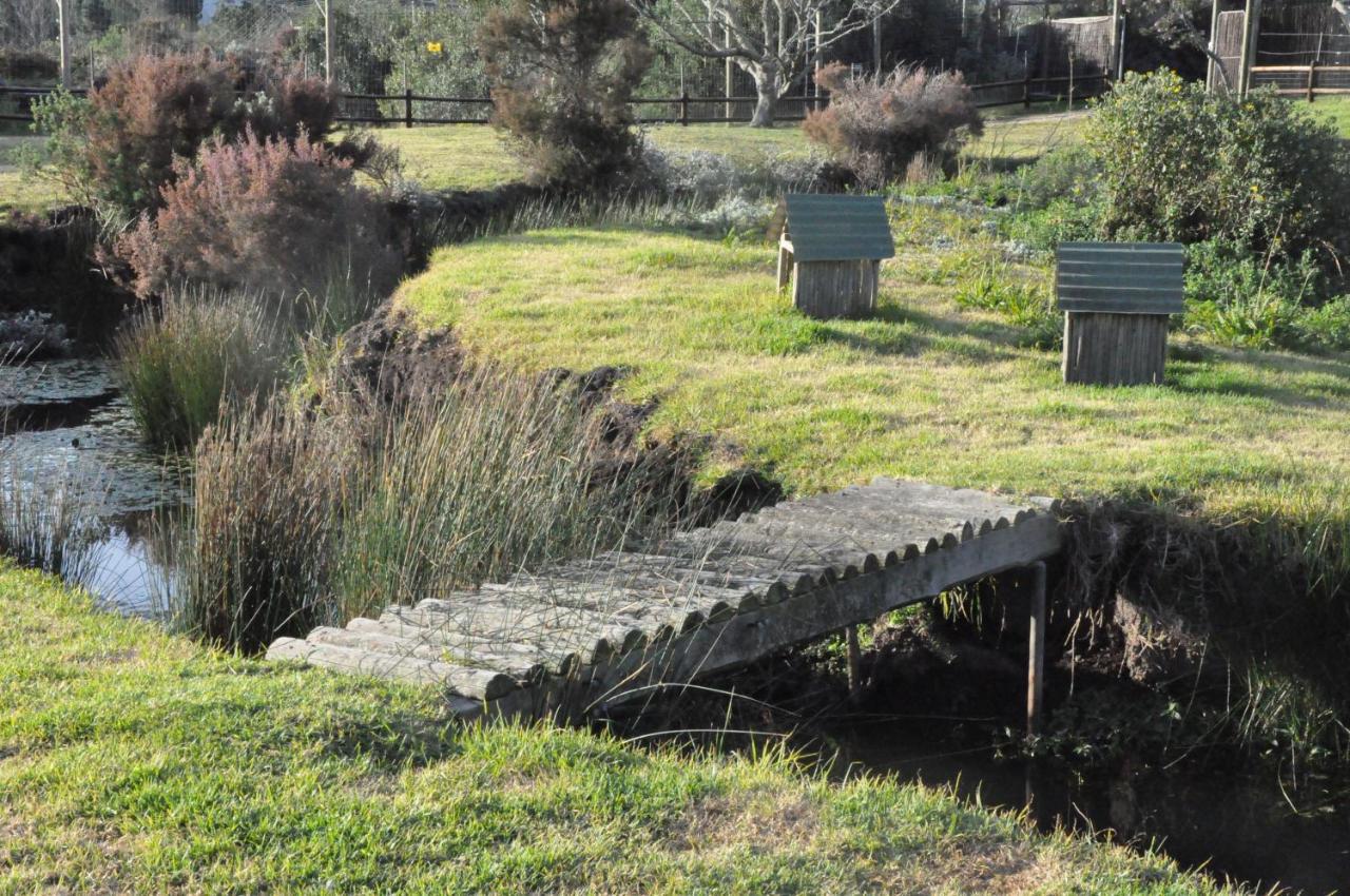 Tenikwa Wildlife Centre & Spa Plettenberg Bay Exterior photo