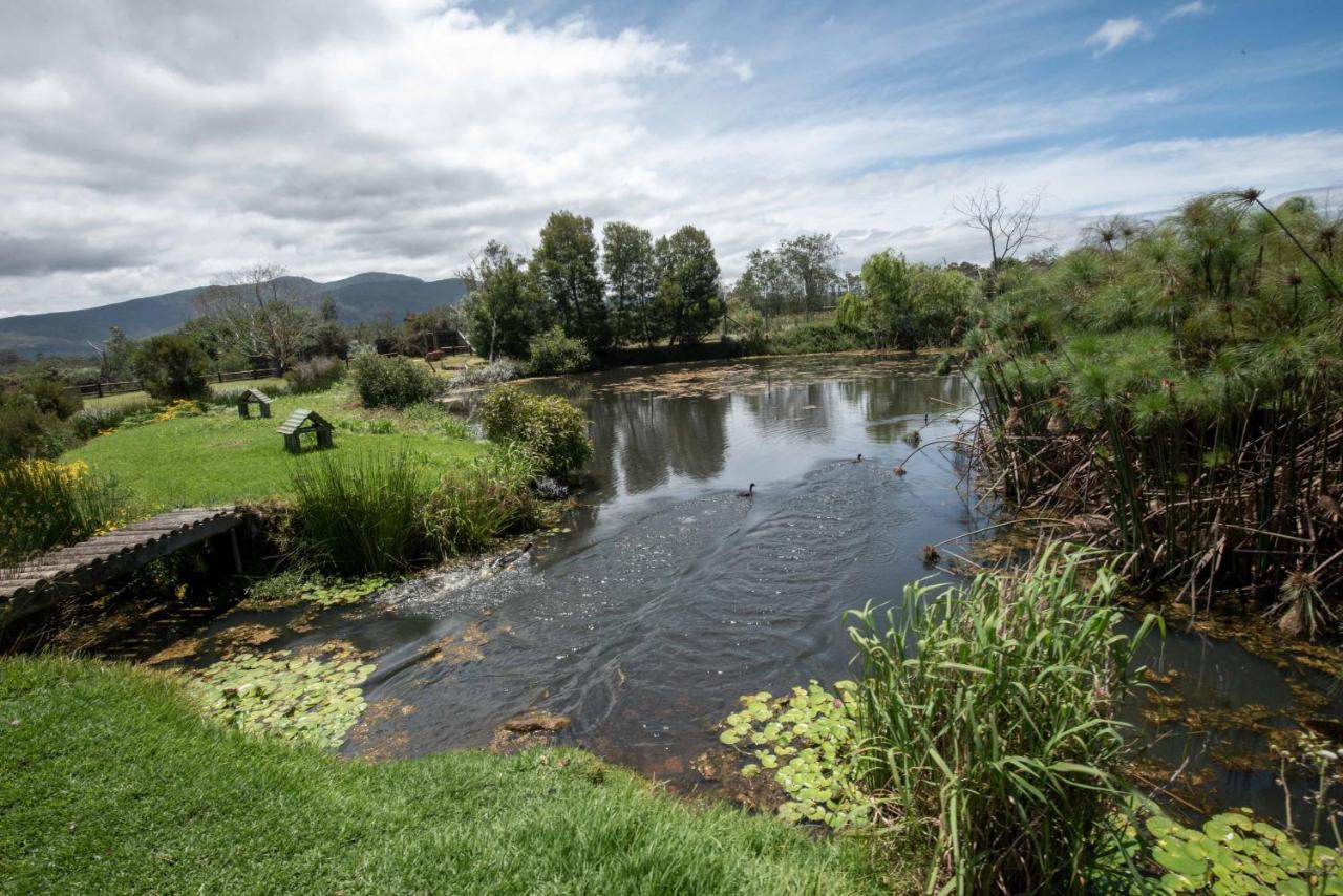 Tenikwa Wildlife Centre & Spa Plettenberg Bay Exterior photo