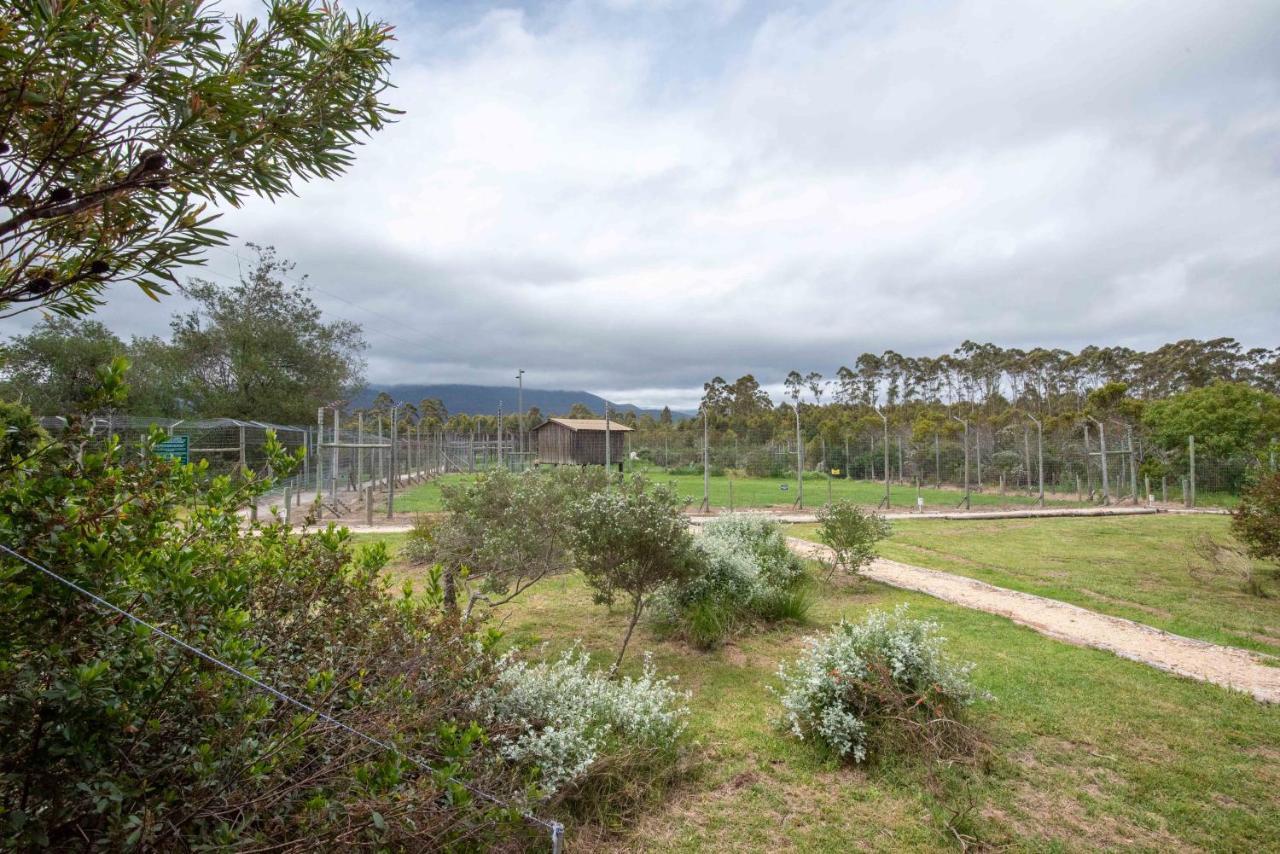 Tenikwa Wildlife Centre & Spa Plettenberg Bay Exterior photo