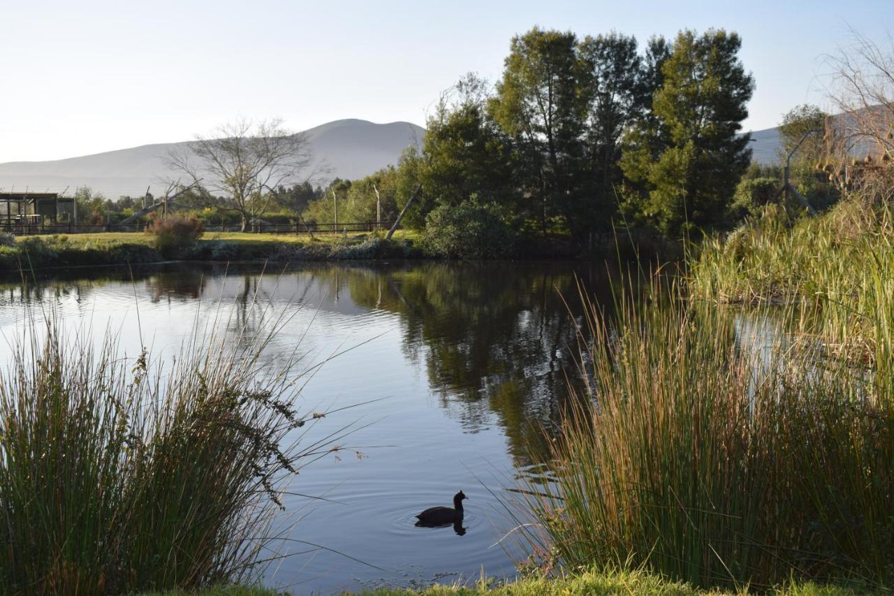 Tenikwa Wildlife Centre & Spa Plettenberg Bay Exterior photo