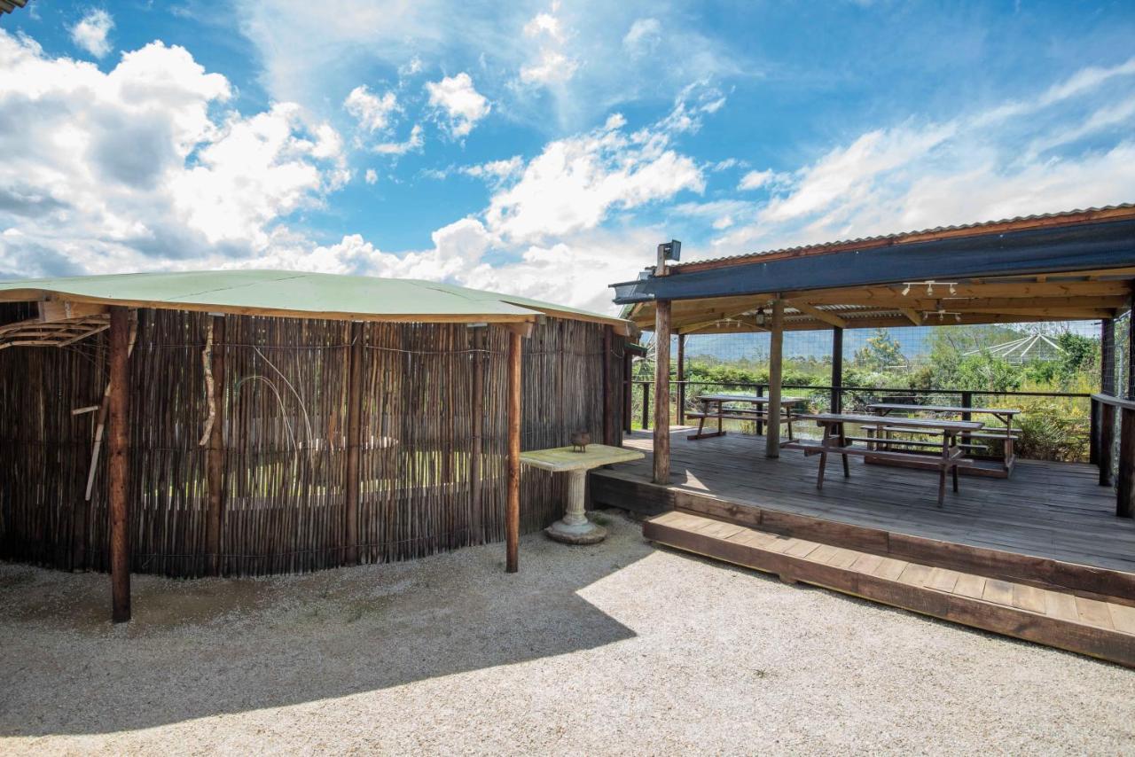 Tenikwa Wildlife Centre & Spa Plettenberg Bay Exterior photo