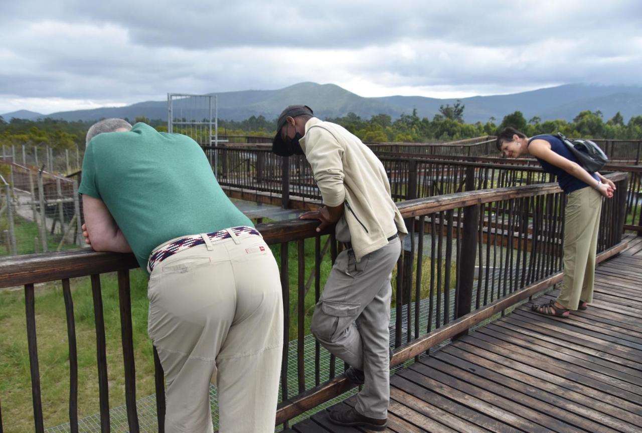 Tenikwa Wildlife Centre & Spa Plettenberg Bay Exterior photo