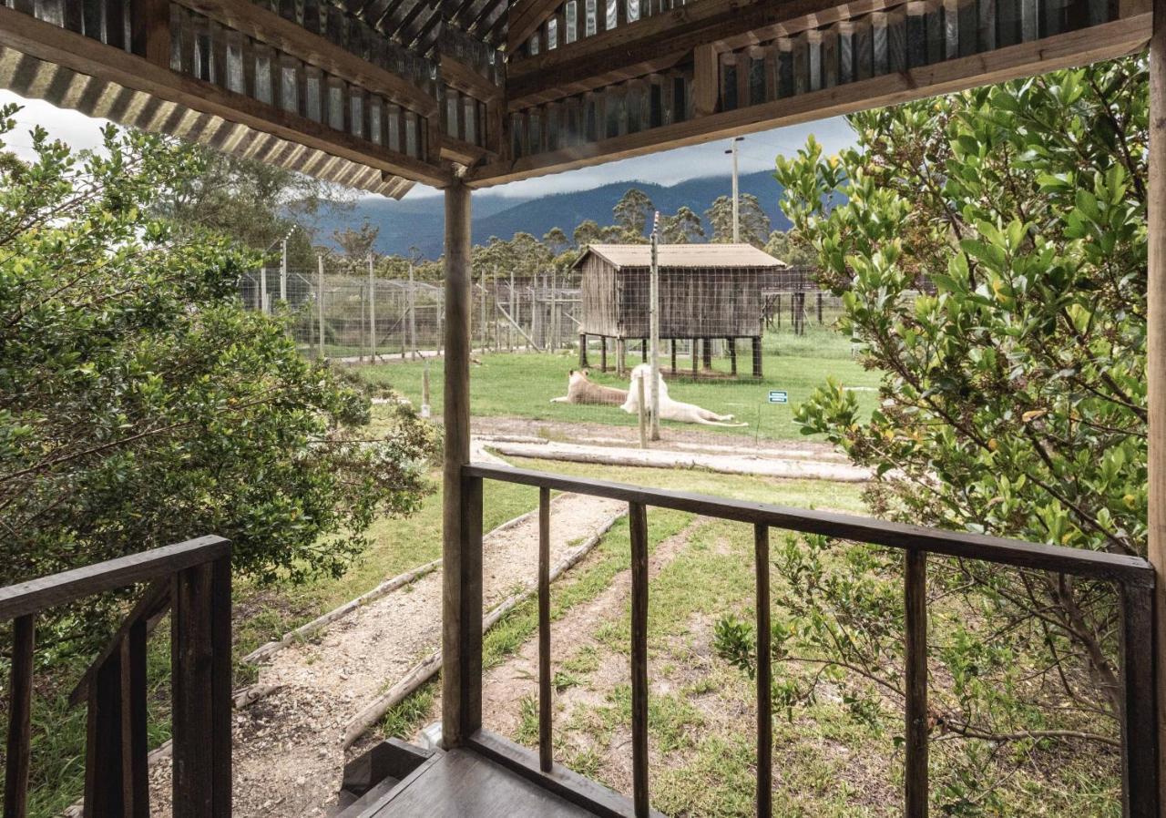 Tenikwa Wildlife Centre & Spa Plettenberg Bay Exterior photo