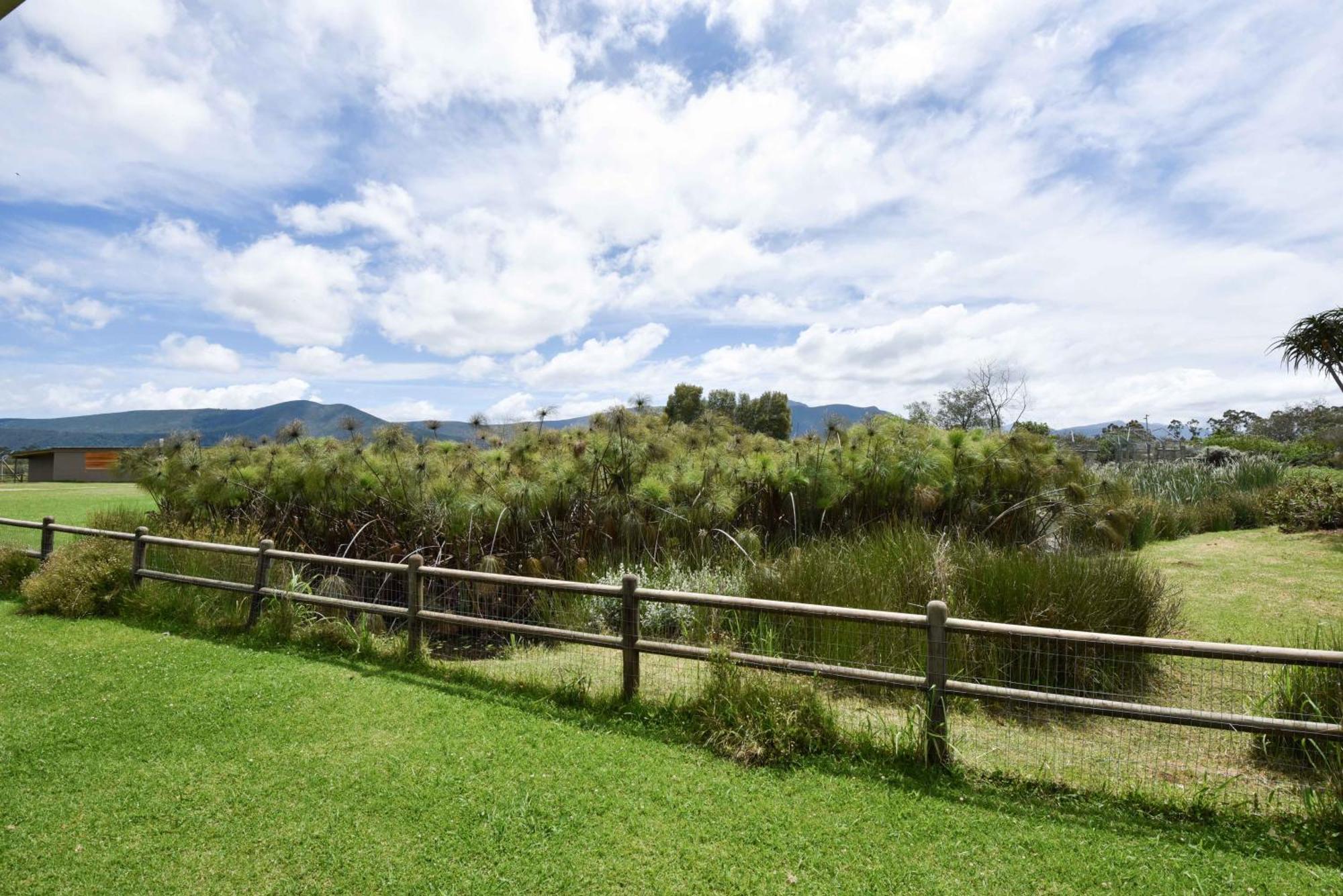 Tenikwa Wildlife Centre & Spa Plettenberg Bay Exterior photo